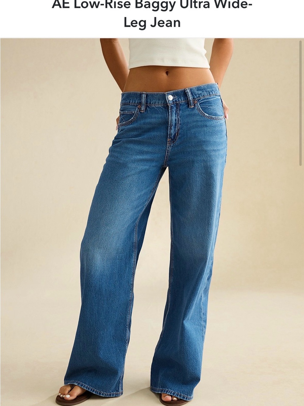 American Eagle Outfitters low rise baggy ultra wide leg jeans